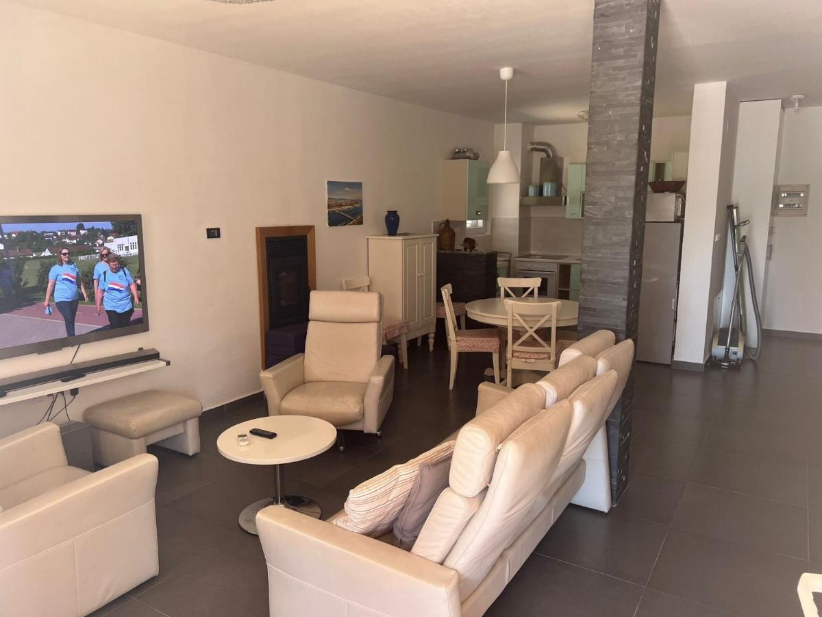 Villa Paludo Novigrad  Exterior foto
