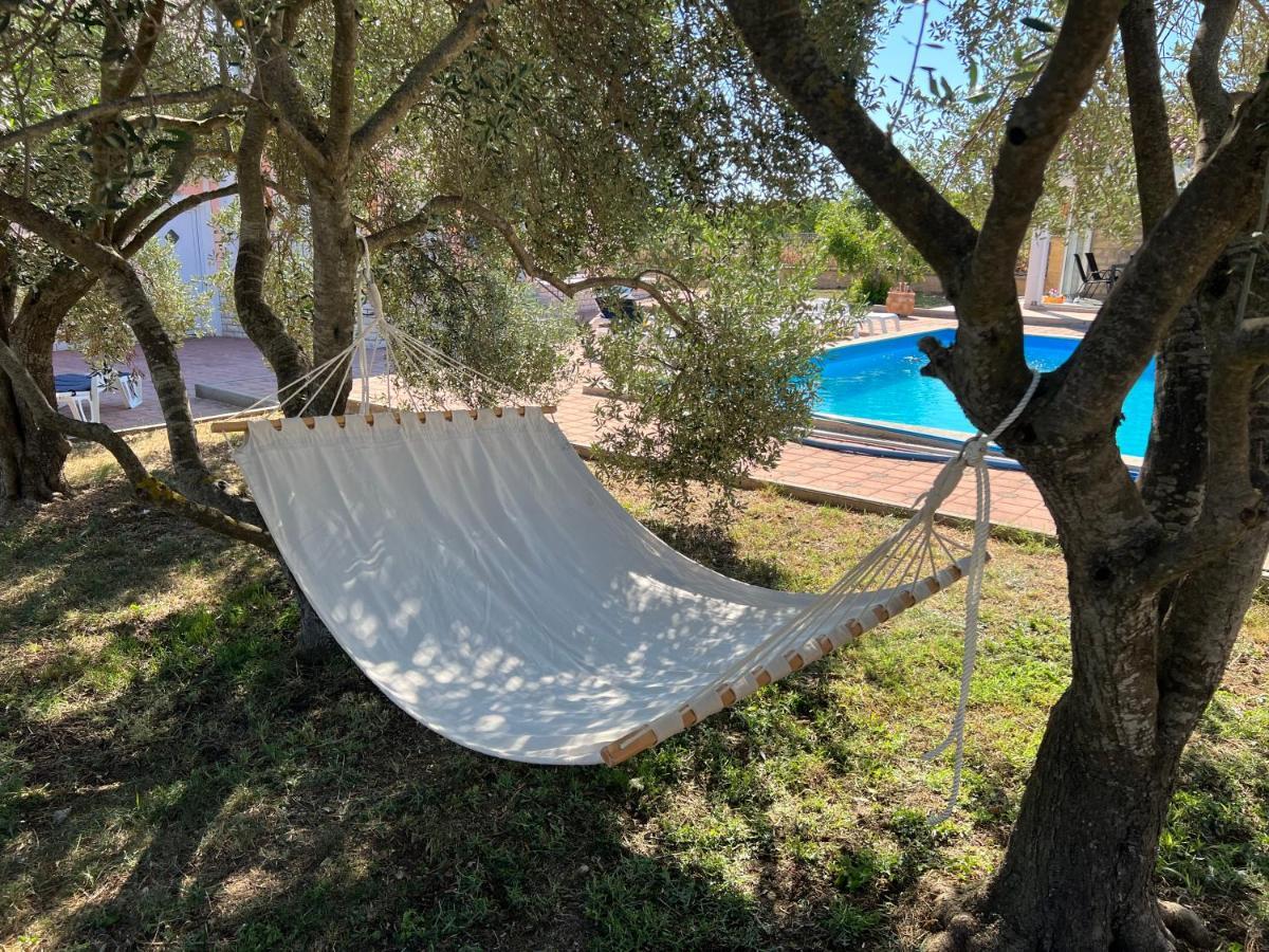 Villa Paludo Novigrad  Exterior foto