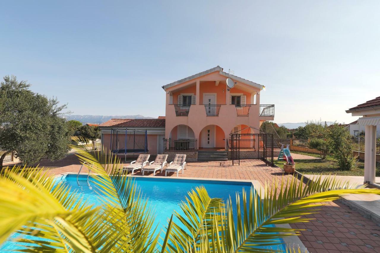 Villa Paludo Novigrad  Exterior foto