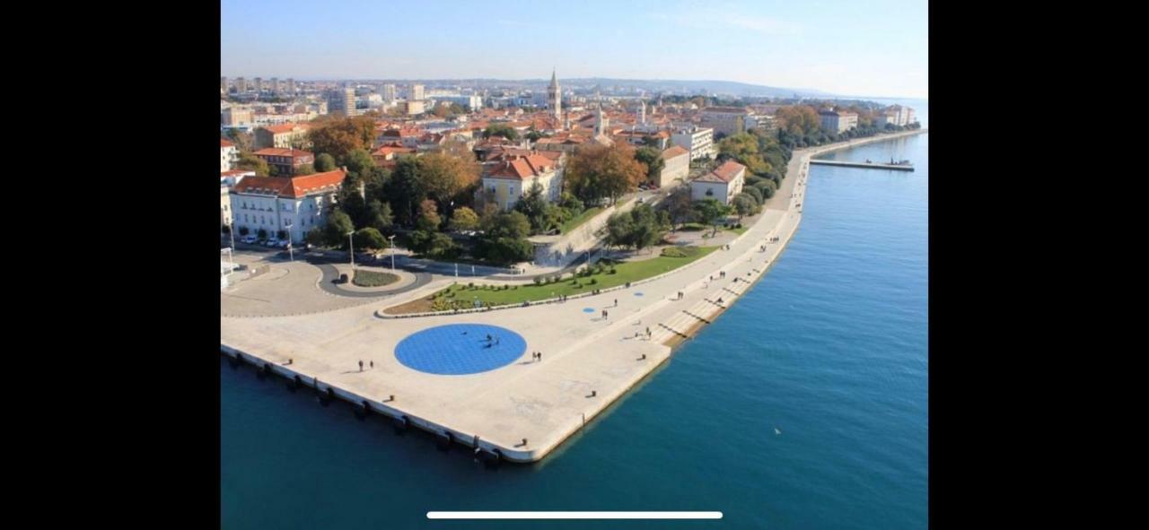 Villa Paludo Novigrad  Exterior foto